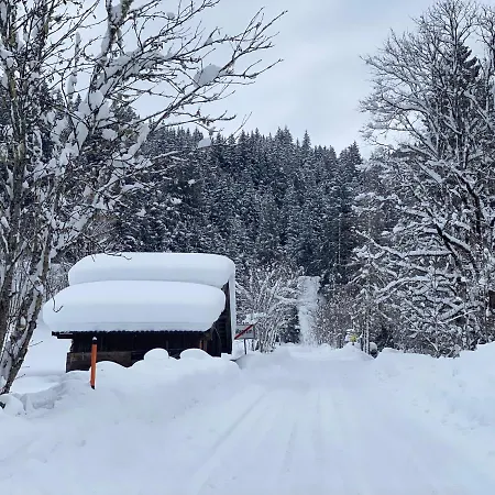 Oberleiten Appartement Wagrain