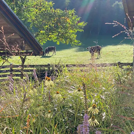 Oberleiten Appartement Wagrain