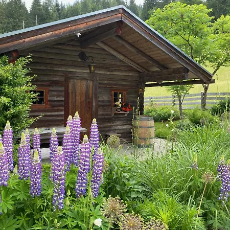 Appartement Oberleiten Wagrain