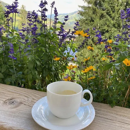 Appartement Oberleiten *